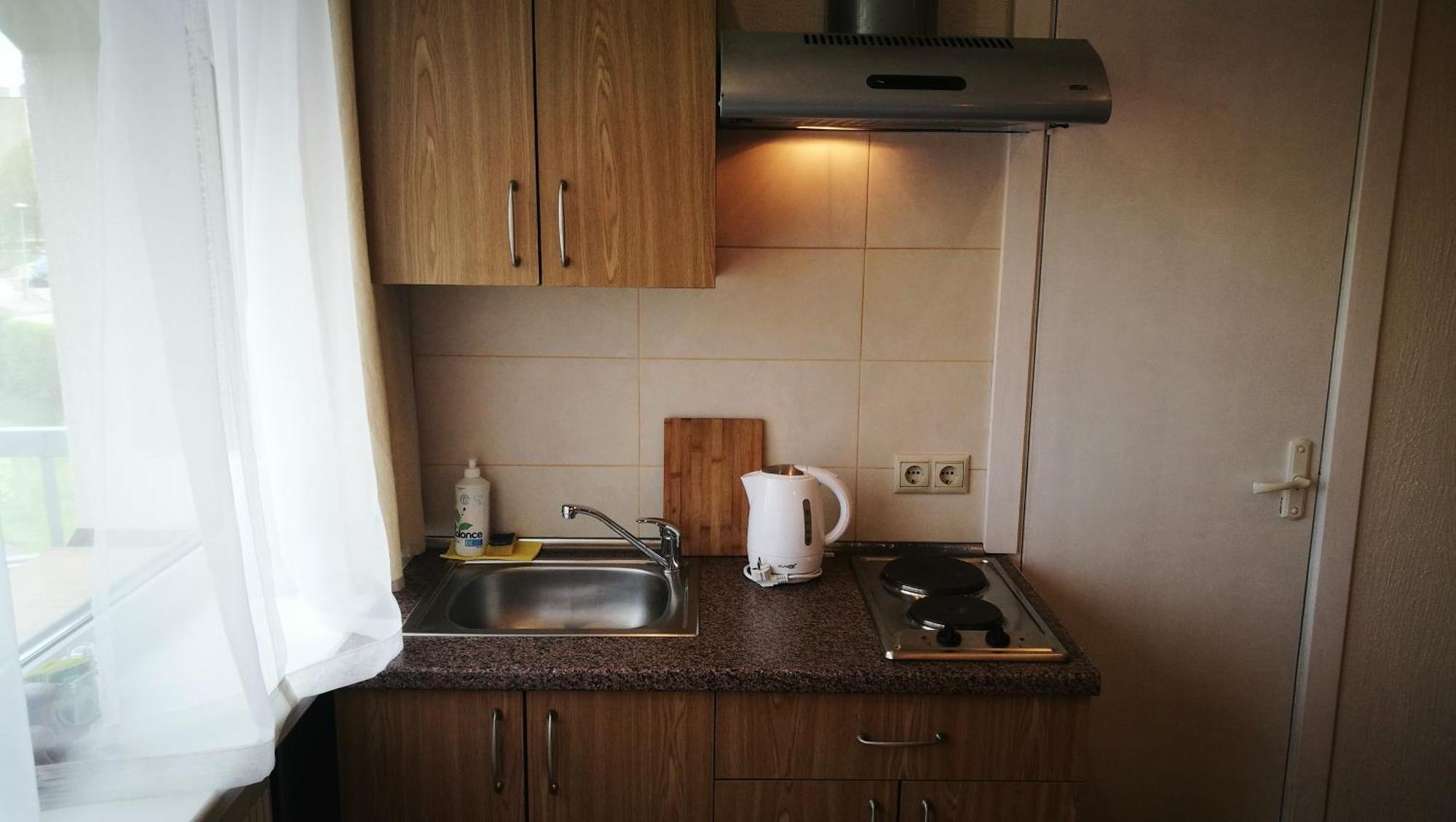 ホテル Family House ドルスキニンカイ 部屋 写真